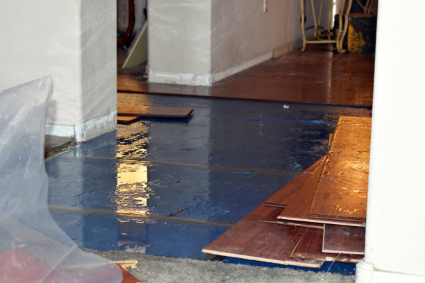Professional Sewage Cleanup technician working in Chisholm, ME